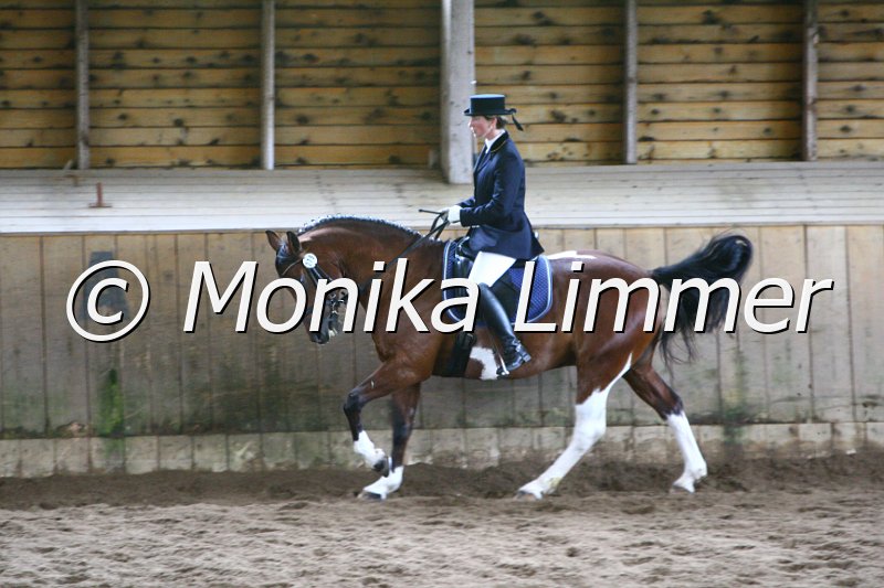 006M4840_Dressur A.JPG